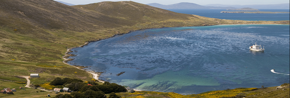 CARCASS ISLAND 51, 18’S 60,34’W Falkland Islands